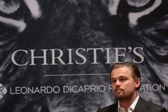 Leonardo DiCaprio arrecada US$ 38 milhões para meio ambiente em leilão