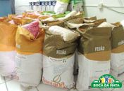 Governo do Estado beneficia entrega de sementes aos Agricultores de Boca da Mata