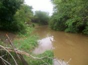 Corpo de homem sem cabeça é encontrado na margem de rio em Piranhas