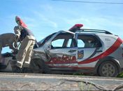 Viatura da PM tenta desviar de animal na pista e colide com carro e carreta