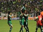  ASA joga mal e acaba goleado pelo Palmeiras em Arapiraca 