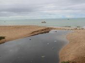 Língua suja na praia de Pajuçara