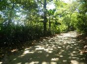 Especial Dia do Meio Ambiente: Com poucas áreas de preservação, Alagoas segue sem nenhuma política pública voltada para o setor