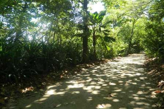 Especial Dia do Meio Ambiente: Com poucas áreas de preservação, Alagoas segue sem nenhuma política pública voltada para o setor