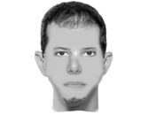 Retrato falado de estuprador