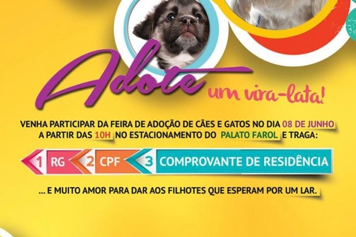 Feira promove a adoção de cães e gatos