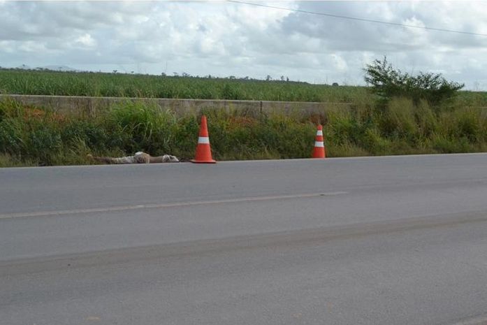 Corpo estava com diversas marcas de tiros