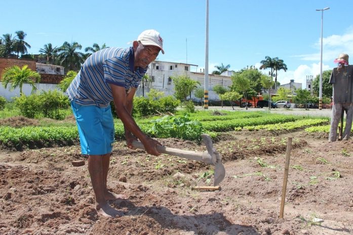 Tiburtino sustenta família com R$ 200 que lucra com a horta