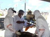 Exumação de corpos no Cemitério 