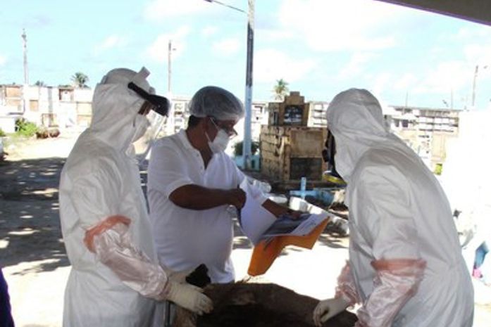 Exumação de corpos no Cemitério