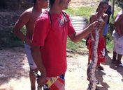Jiboia assusta moradores na Cruz das Almas