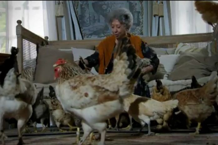 Fernanda Montenegro contracena com 30 galinhas em 'Saramandaia': 'Desnorteadas'