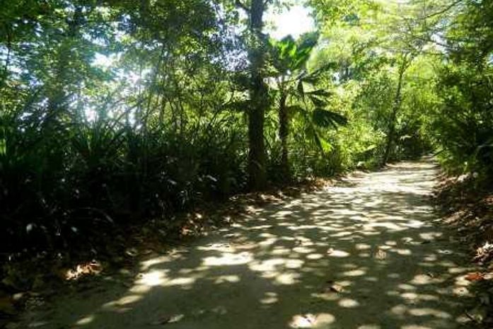 ICMS–Ecológico: AL abandona implantação e segue sem políticas na área