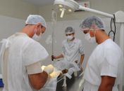 NEAFA e clínica veterinária vão realizar castrações em animais de Paripueira