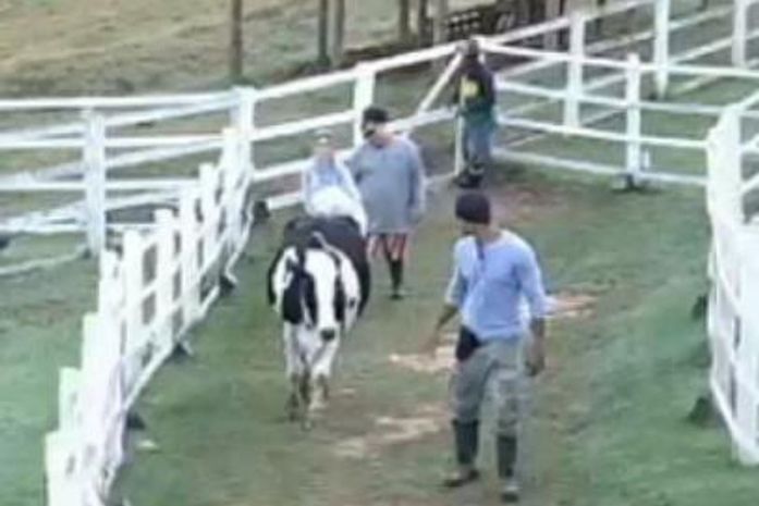 Em reality show 'A Fazenda 6', Bárbara Evans tem crise de ciúmes: "Mateus é meu"