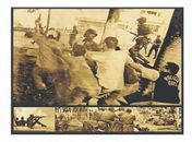 Fotos do 17 de julho 