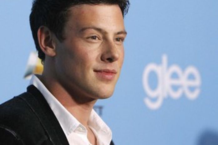 Ator de 'Glee' sofria recaída quando visitava a família