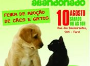 NEAFA vai promover feira de adoção de cães e gatos no dia 10