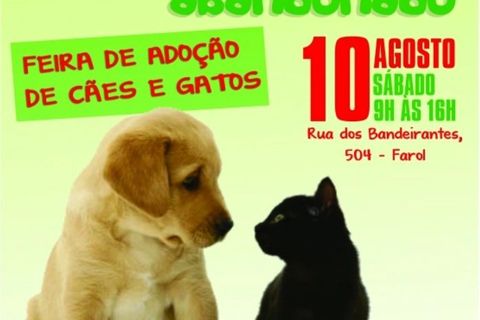 NEAFA vai promover feira de adoção de cães e gatos no dia 10