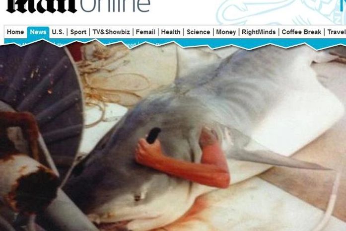 Austrália: foto de pescador "saindo de tubarão" assusta turistas