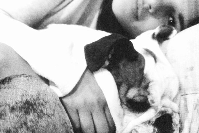 Mariana Rios posta foto com cachorrinho: 'Soninho mais gostoso do mundo'