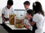 Exposição Biodiversidade de Alagoas atrai visitantes ao Mupa