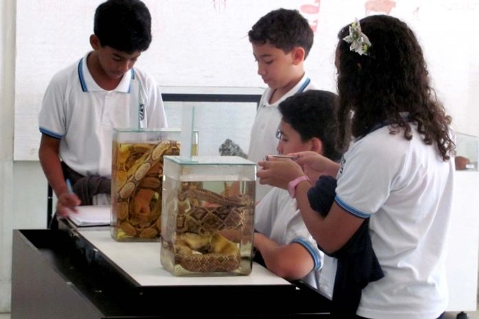 Exposição Biodiversidade de Alagoas atrai visitantes ao Mupa