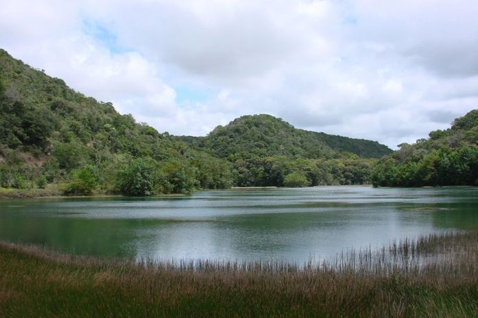 APA do Catolé Fernão Velho