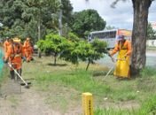 Prefeitura inicia plantio de 150 mudas de árvores nativas na BR-104