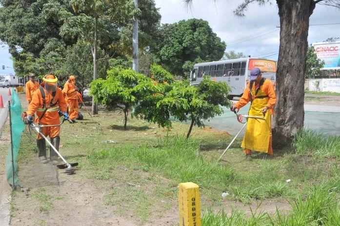 Prefeitura inicia plantio de 150 mudas de árvores nativas na BR-104