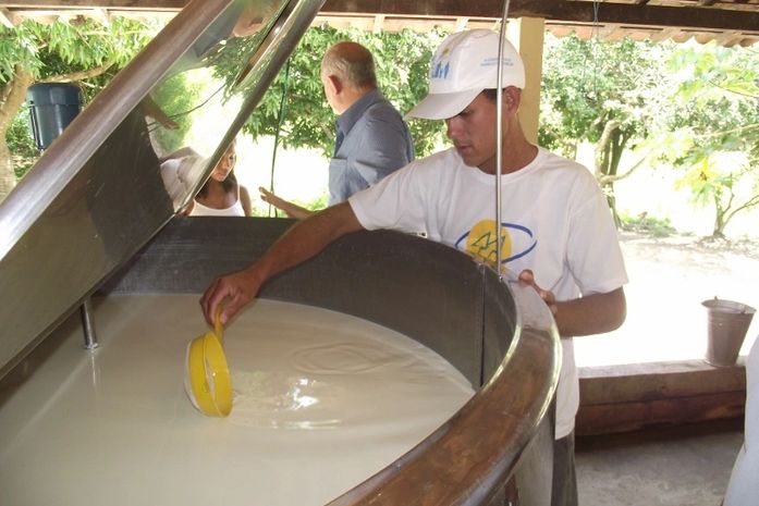 Parceria entre Prefeitura de Cajueiro e Governo beneficia 2 mil produtores de leitev