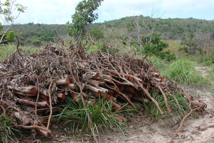 Operação coíbe desmatamento e extração mineral irregular
