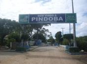 Pindoba