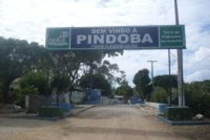Pindoba