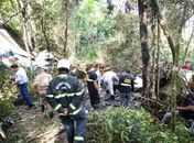 O monomotor caiu numa área de mata fechada na estrada da Ceasa cinco minutos após decolar