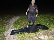 Corpo de homem não identificado é encontrado com orelha comida por siris