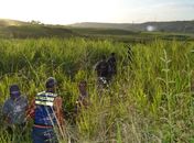 Agricultor encontra corpo em avançado estado de putrefação em matagal