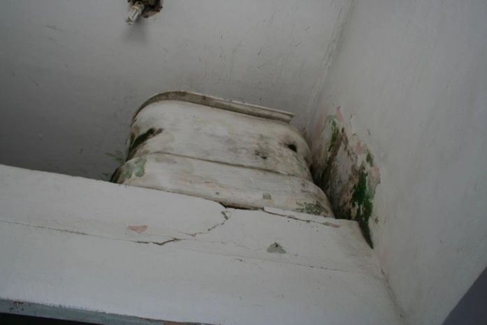 Mofo toma conta de paredes de delegacia