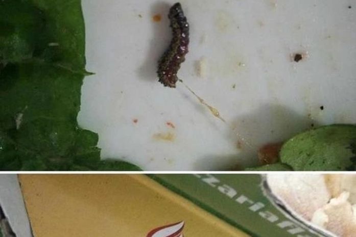 Cliente encontrou uma lagarta em pizza