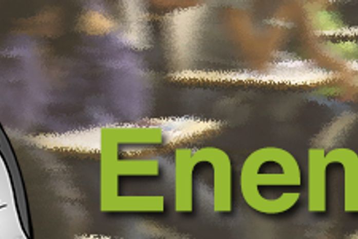 Enem 2013