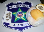 Mulher tenta entregar “sanduiches de maconha” em delegacia e acaba presa