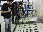 Biblioteca Central da Ufal expõe “Biodiversidade de Alagoas” até o dia 30 de setembro