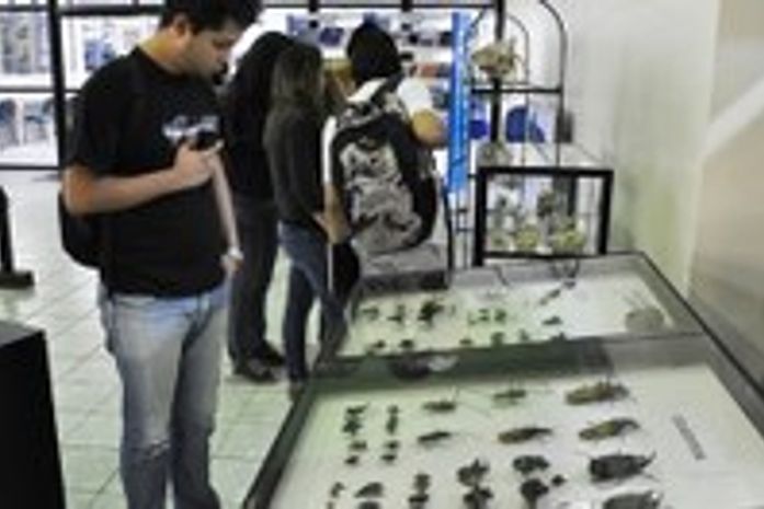 Biblioteca Central da Ufal expõe “Biodiversidade de Alagoas” até o dia 30 de setembro