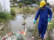 FPI contra o mosquito da Dengue 