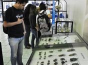 Biblioteca Central da Ufal expõe “Biodiversidade de Alagoas” até o dia 30 de setembro
