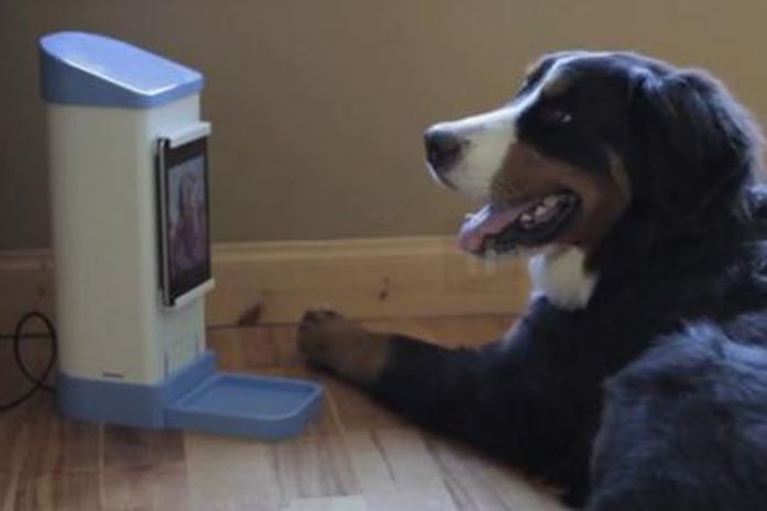 Gadget permite conversar com cachorro e entregar cookies