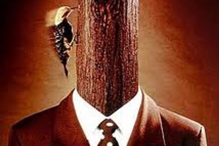 Cinquenta tons de cara de pau