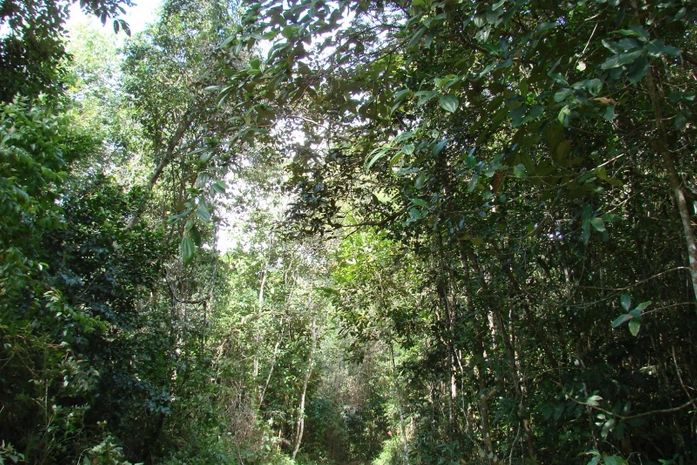Estado e Ibama assinam acordo de cooperação para gestão da fauna
