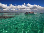 O mar e a vassoura, duas realidades alagoanas