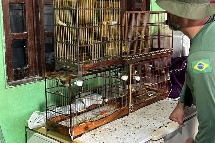 Operação da Polícia Federal cumpre mandados contra acusados de traficar animais silvestres